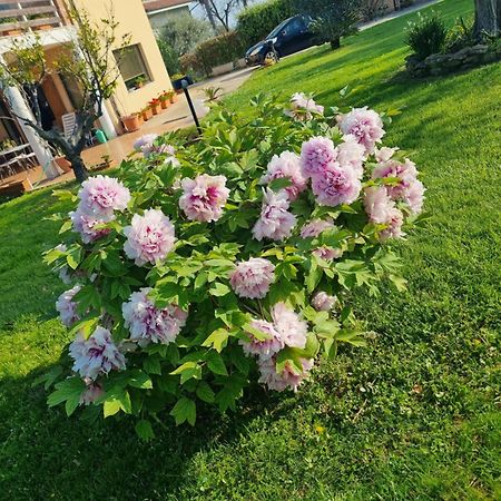 La Collina Del Riccio Apartment Ortona Exterior photo