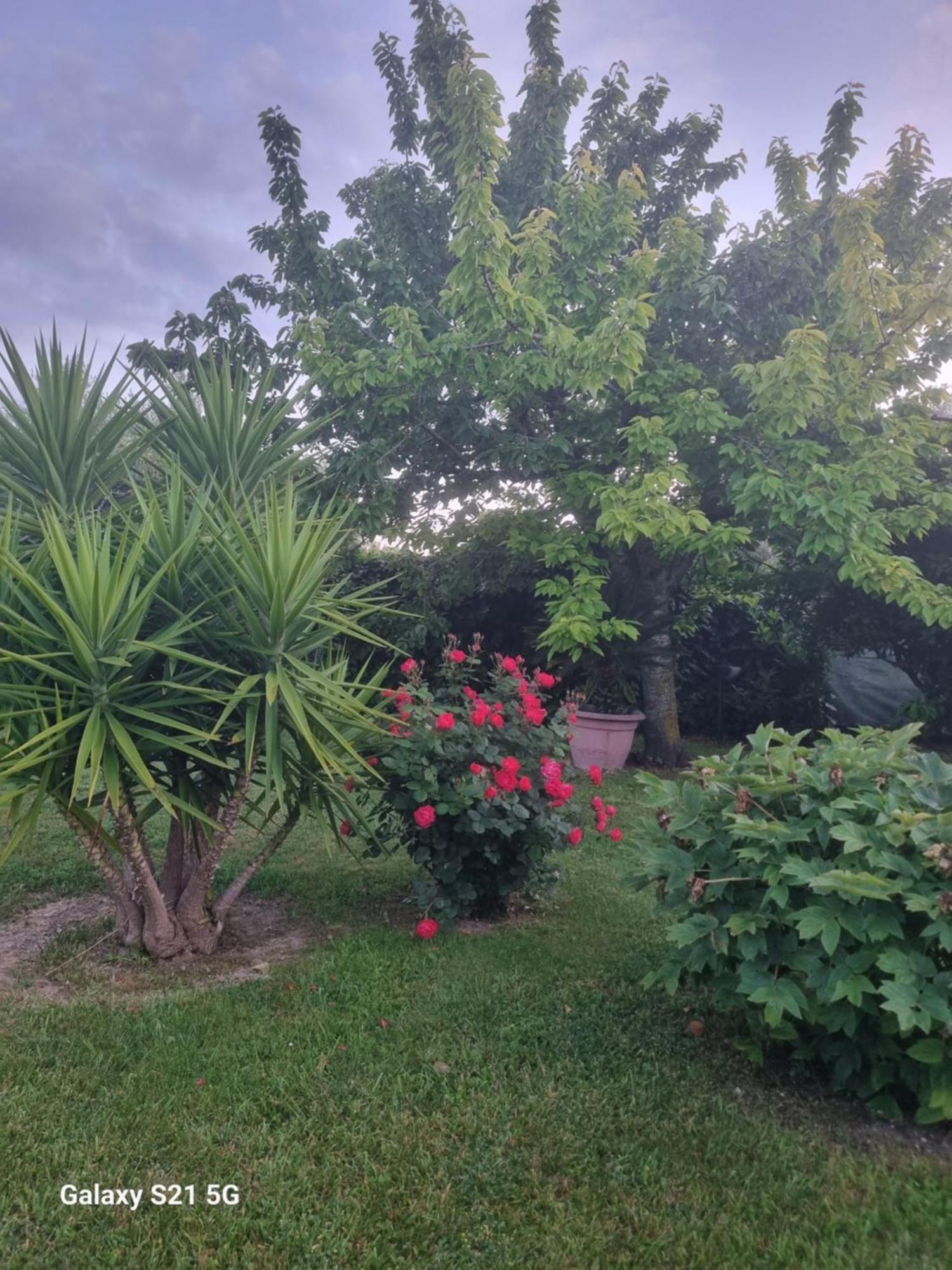 La Collina Del Riccio Apartment Ortona Exterior photo
